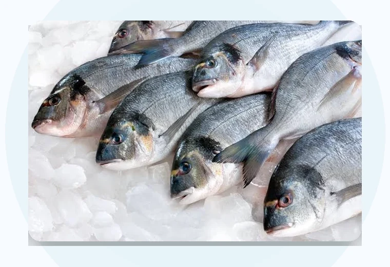 Seafood