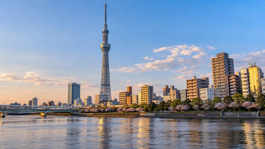 Tokyo Skytree: City Views from Above