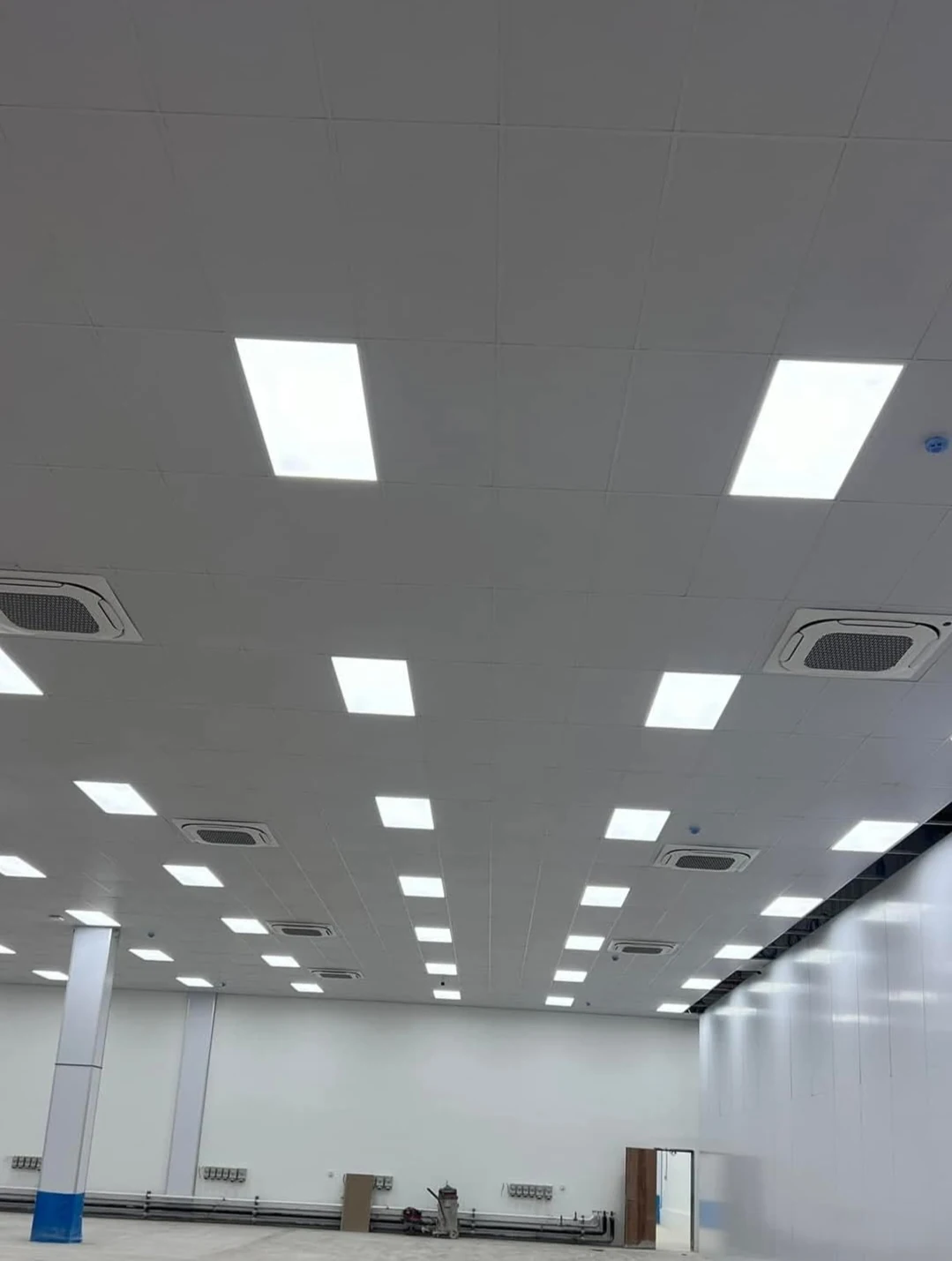 Gypsum & Suspended Ceilings